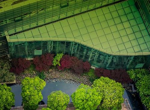 A green modern building among the trees